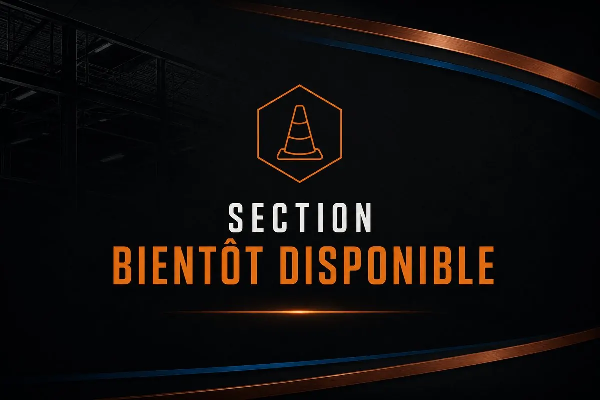 Section bientôt disponible